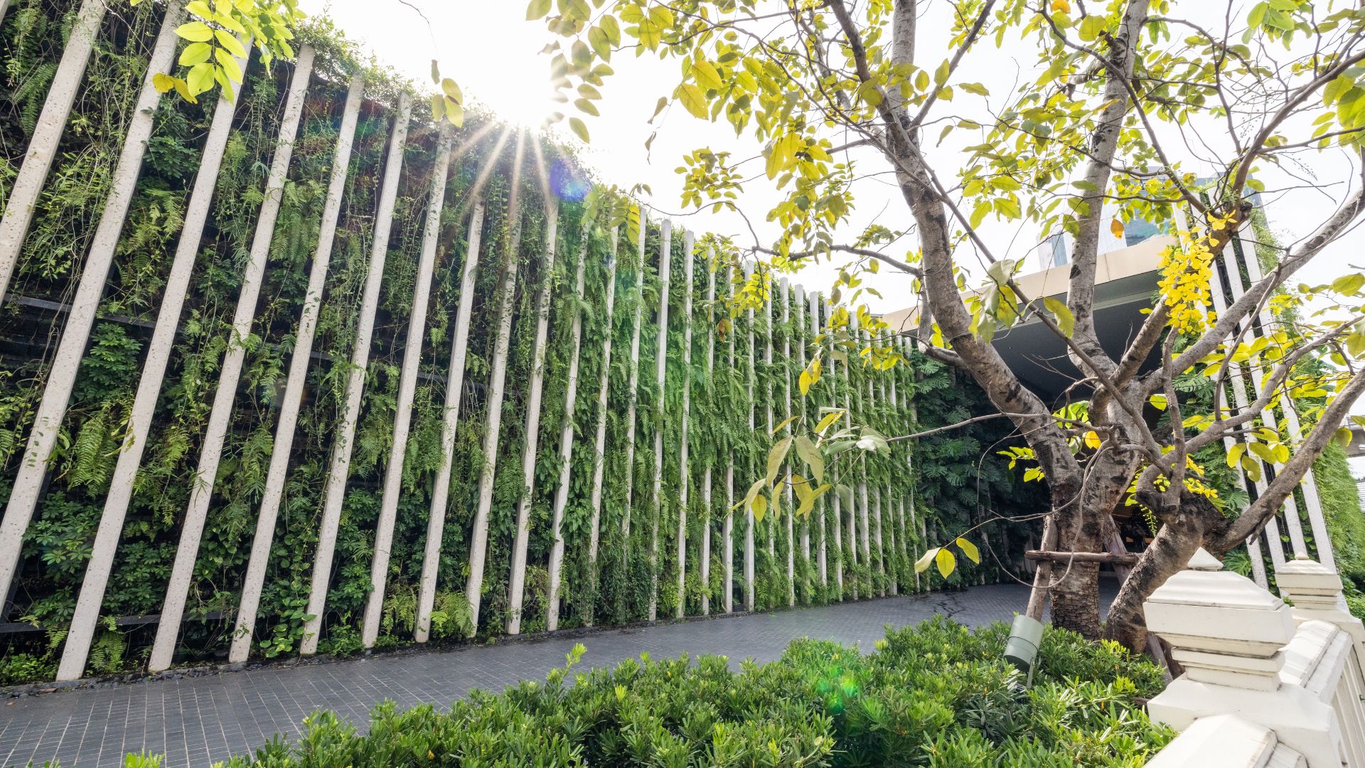 Paisajismo profesioanl