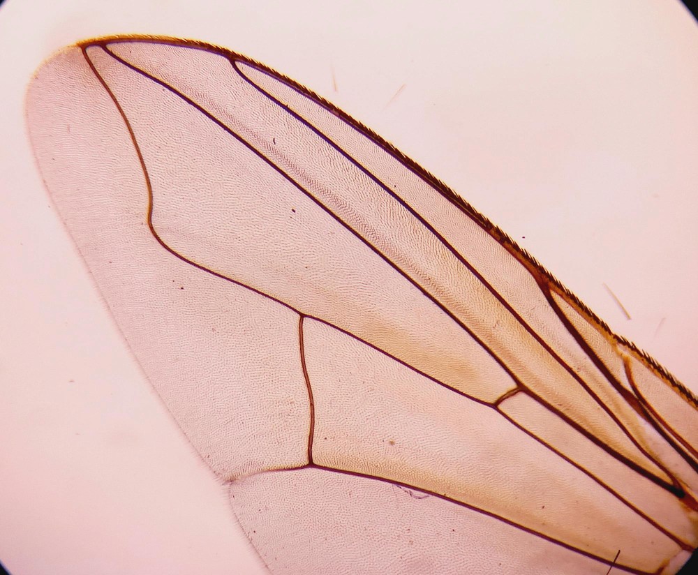 Captured moment from a corporate or social event.