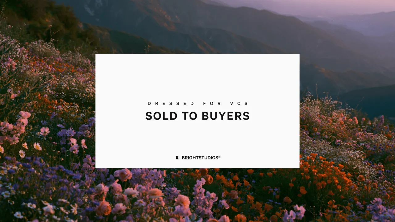 Dressed for VCs, sold to buyers