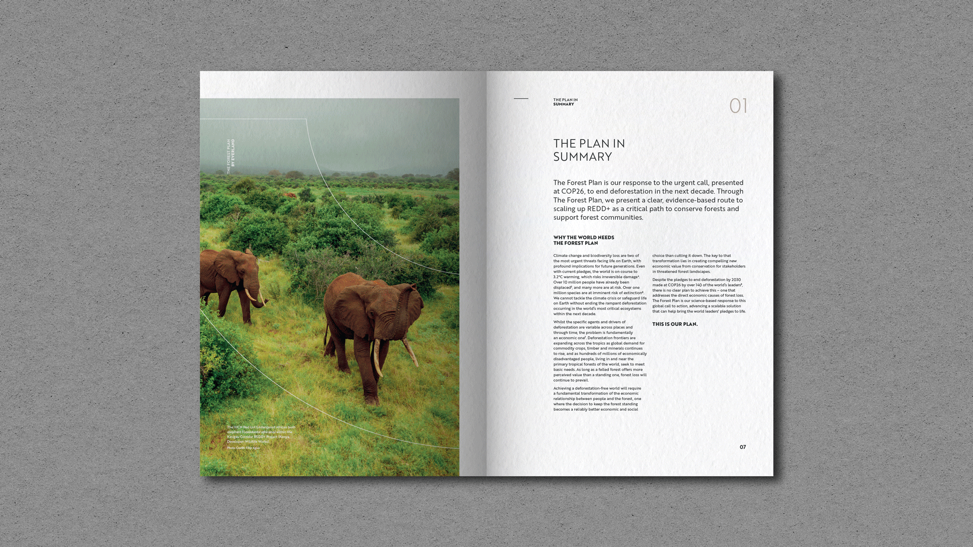 The Forest Plan brochure spread