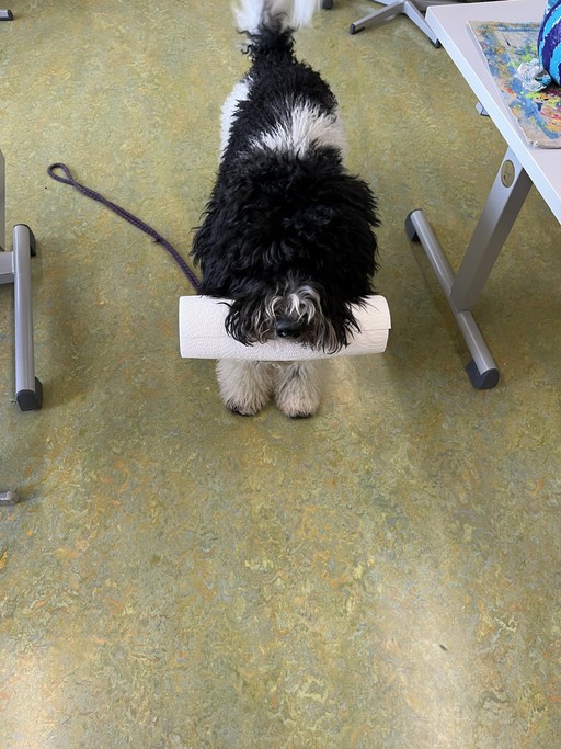 Foto von Lovis mit Papierrolle im Mund