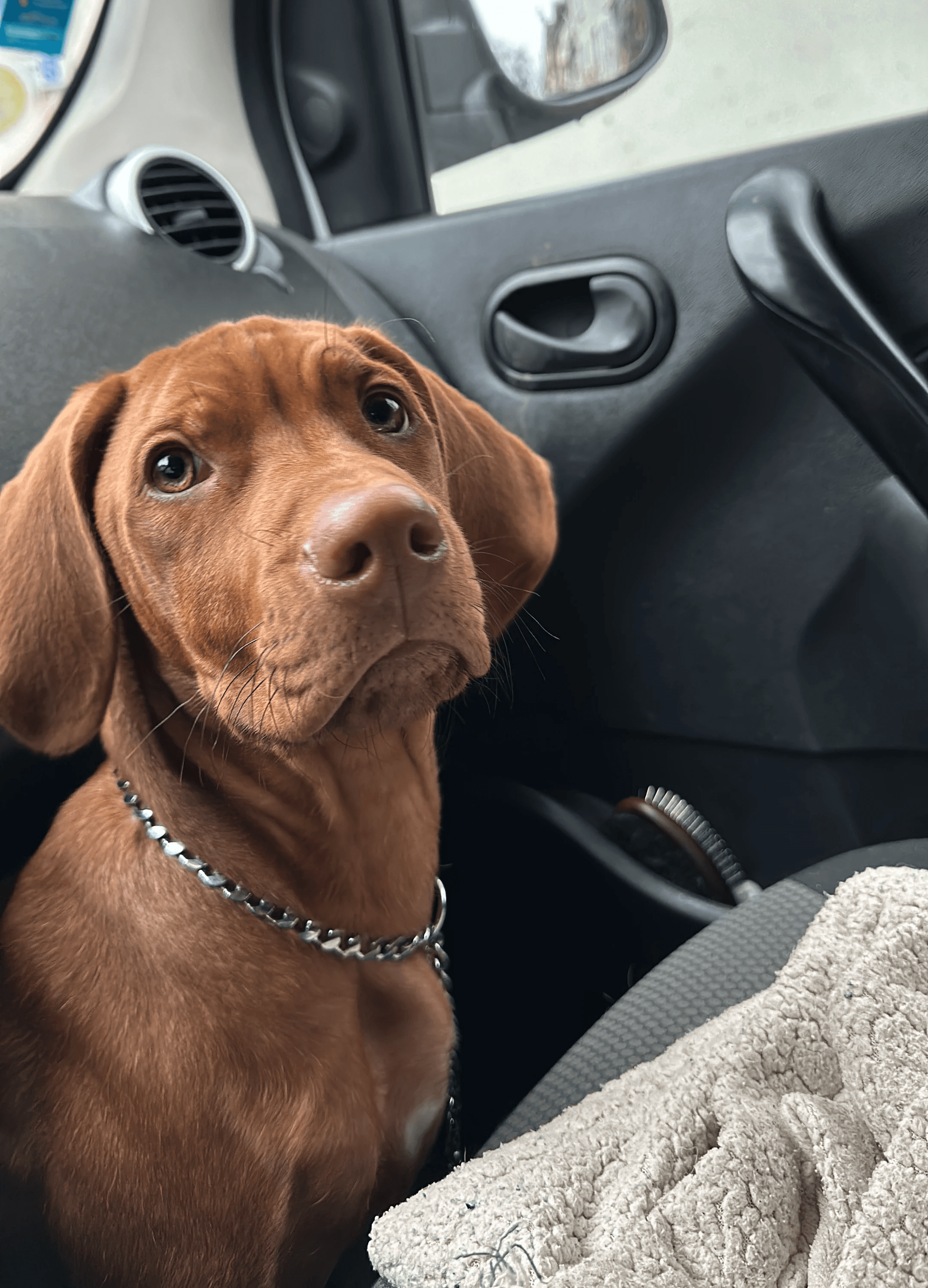 Una&Co Photo Transport