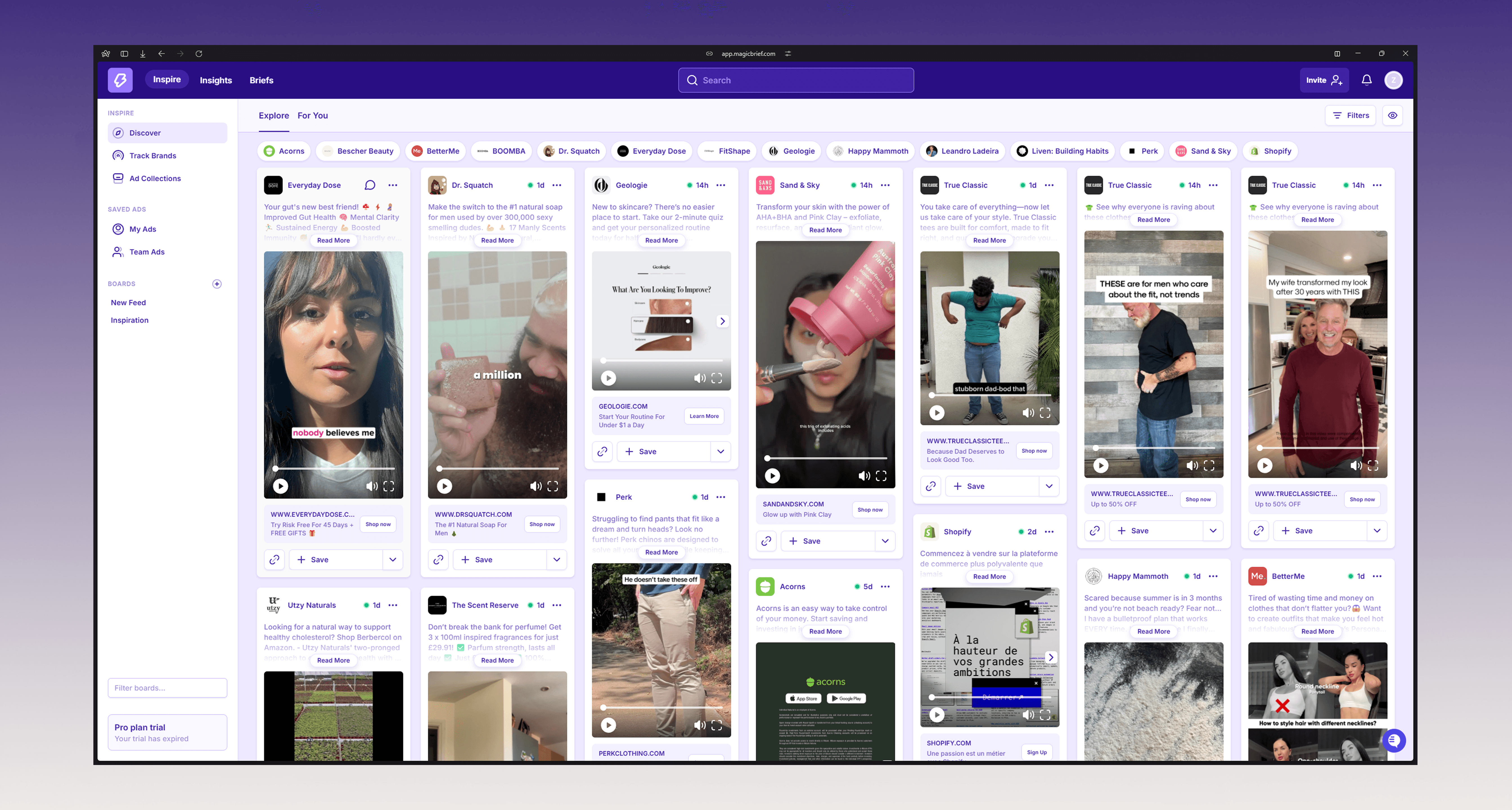 Magicbrief Screenshot