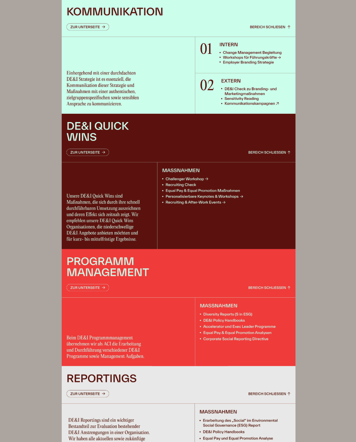 ACI Consulting services page, DE&I Quick Wins and Programm Management sections