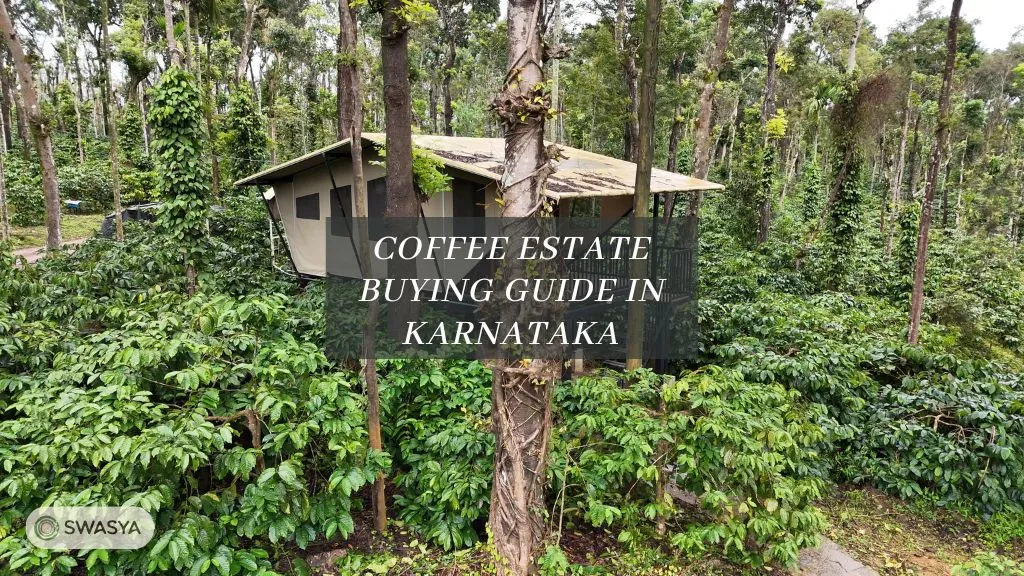 Coffee Estate Buying Guide in Karnataka