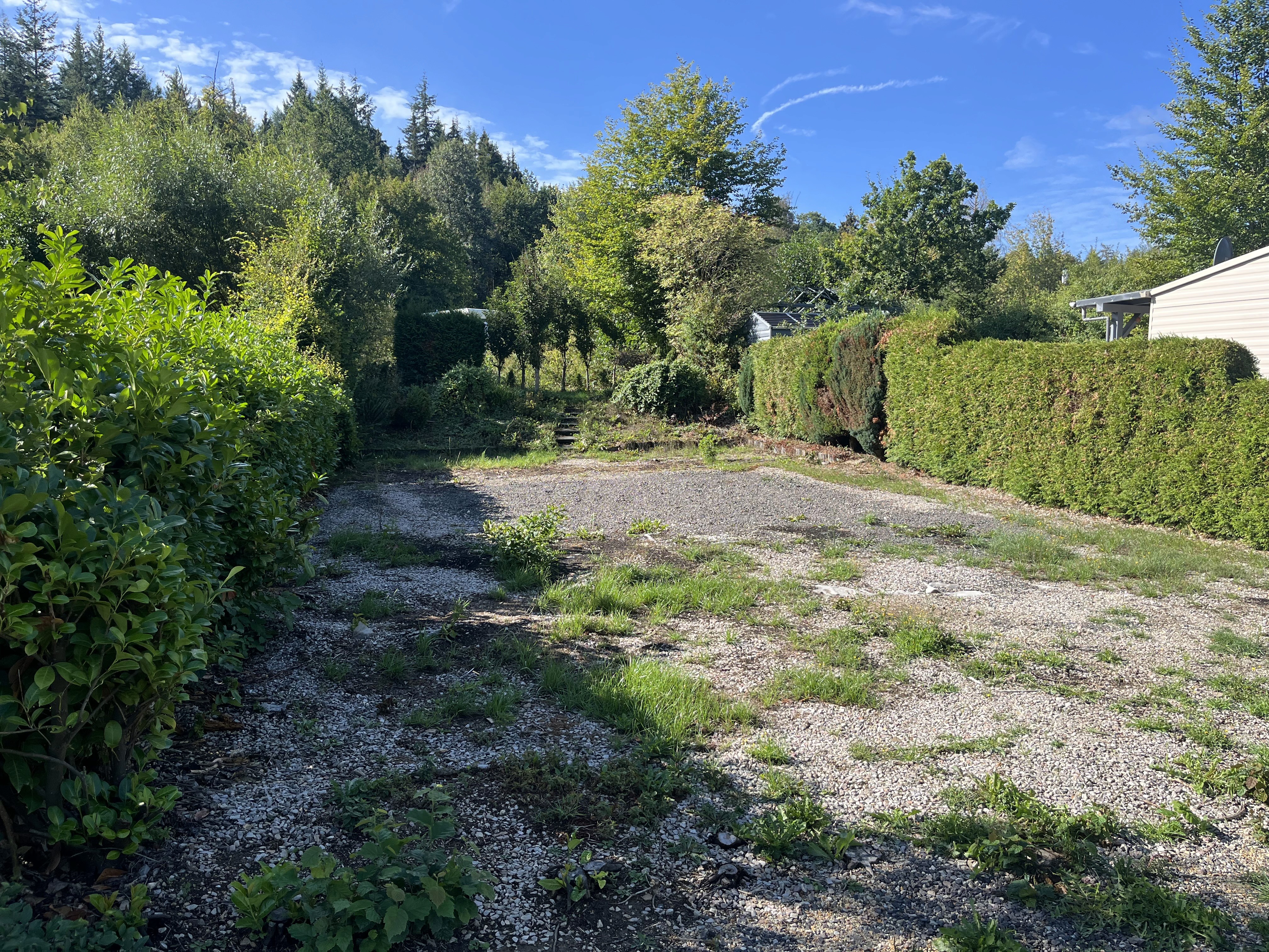Stellplatz 81