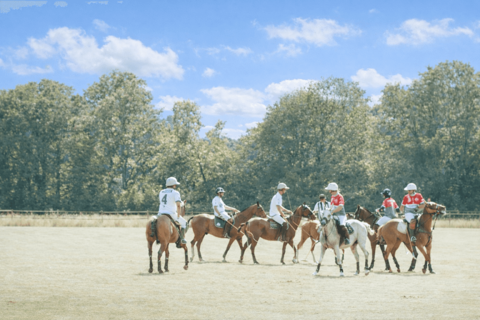 Modern landscaped garden showcasing professional outdoor design.