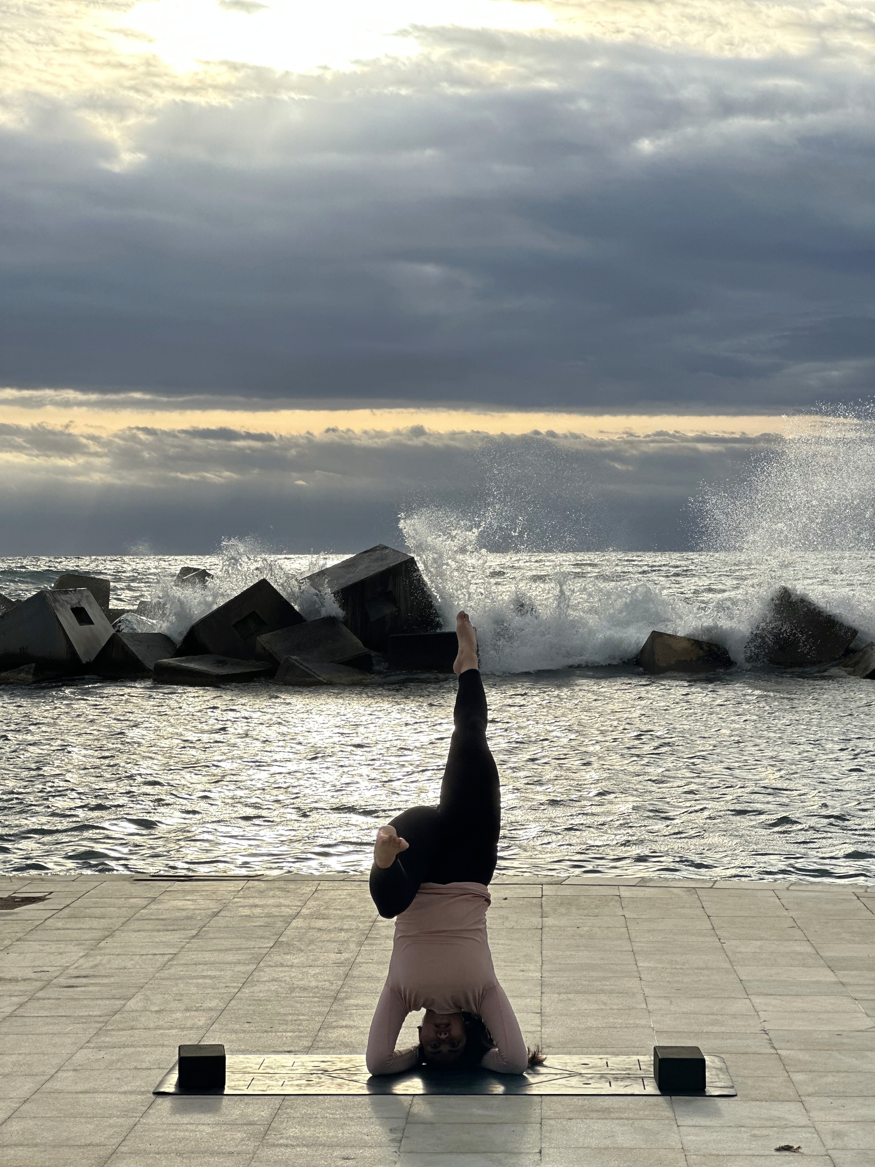 Feedback & Refinement