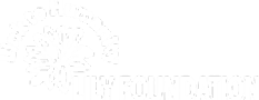 Lily foundation Logo