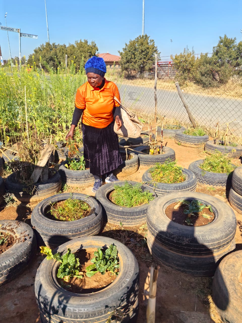 Close-up of vibrant purple flowers with droplets of water, creating a rich, textured background.