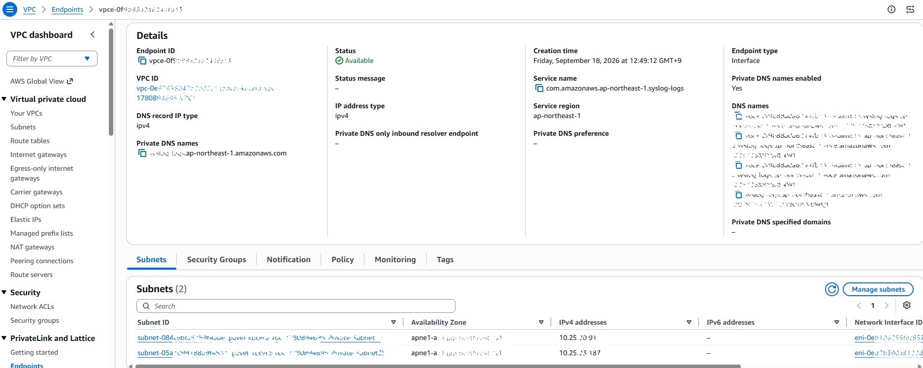 VPC endpoint details showing PrivateLink DNS names and network interfaces across two subnets.