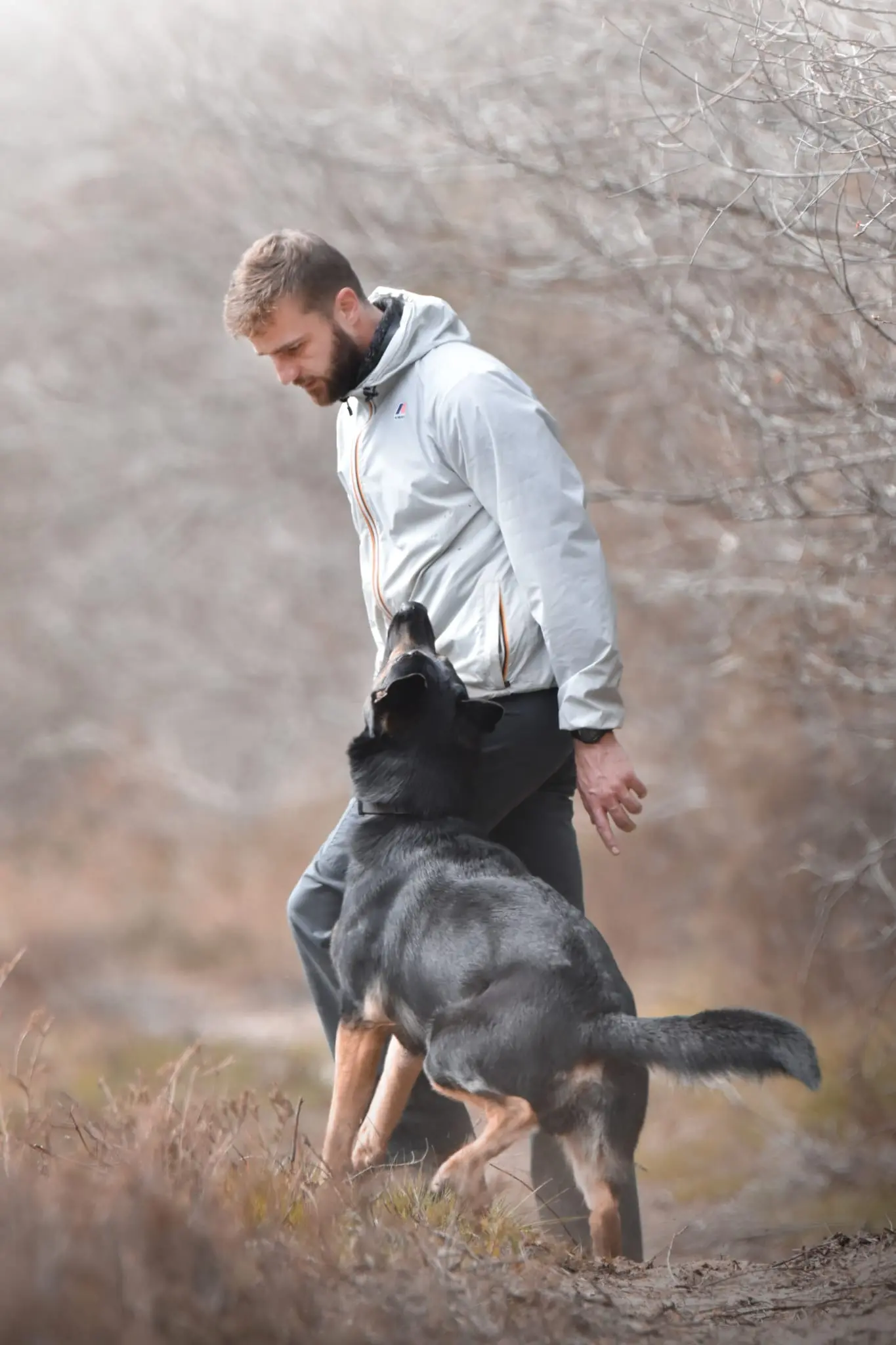 demi-tour au pied par un berger allemand et sont educateur