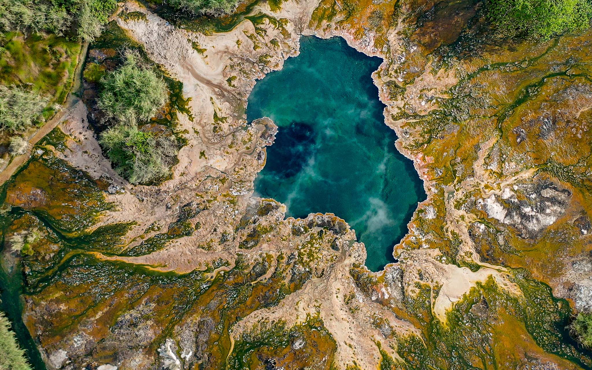 Bubbling pools surrounded by sulfur deposits - Male Sempaya Hot Springs (Bitente)  in Semuliki