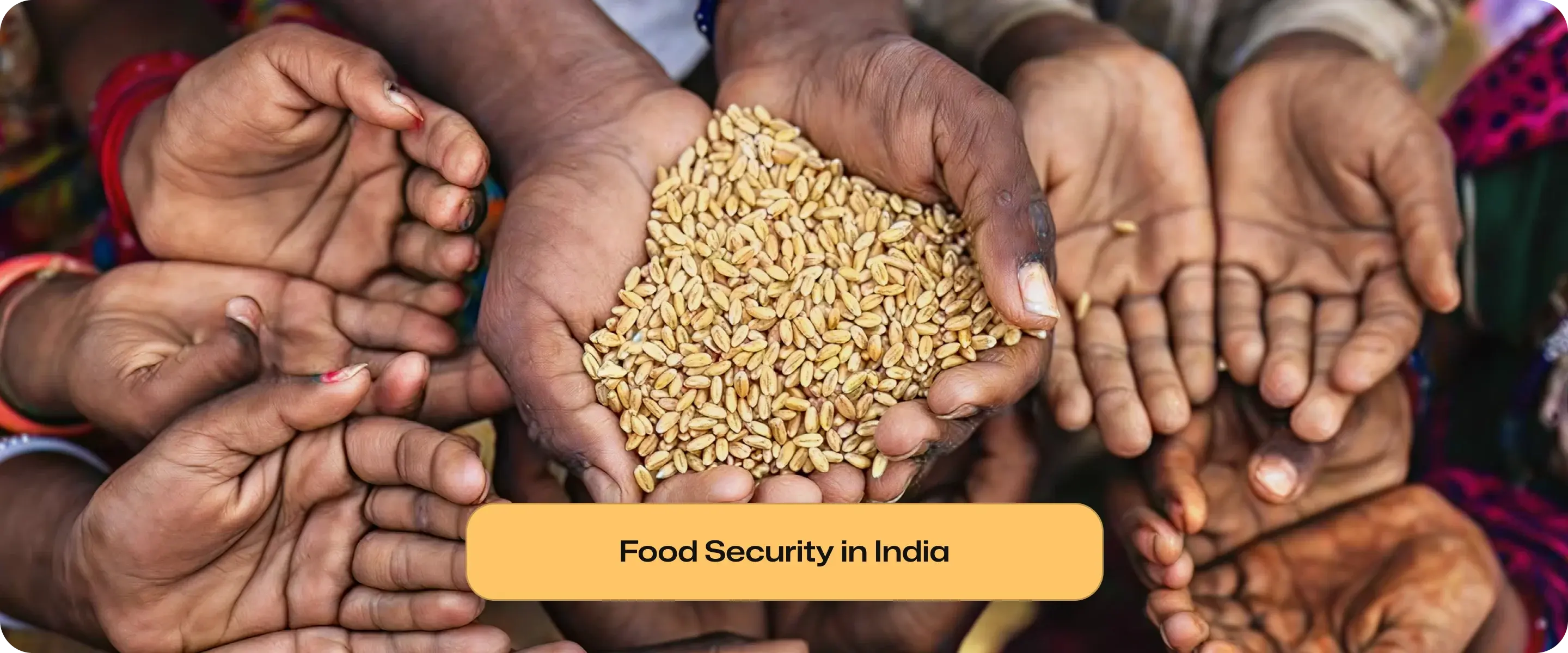 Food Security in India