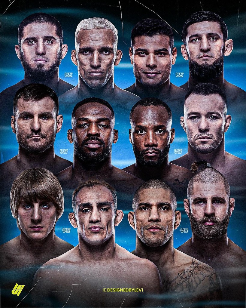 UFC Fighters poster