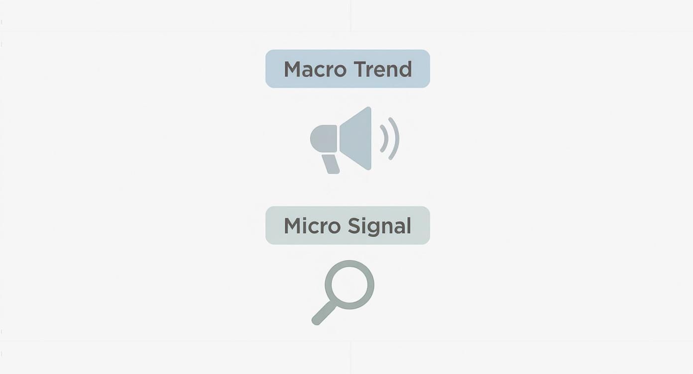 A visual representation distinguishing 'Macro Trend' with a megaphone and 'Micro Signal' with a magnifying glass.
