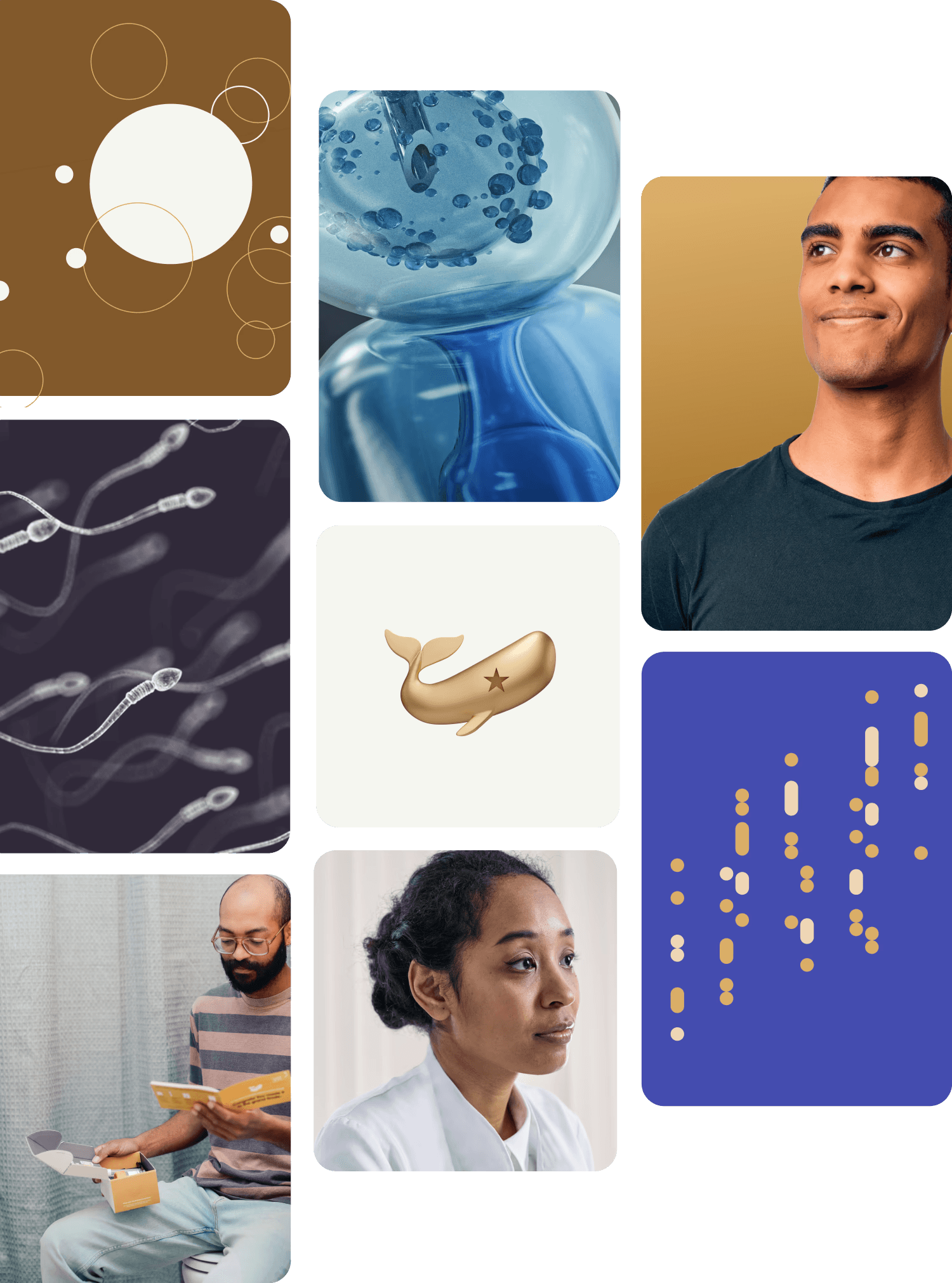Several images of sperm, testing materials, doctors, and patients surrounding a central image of the Fellow sperm whale logomark.