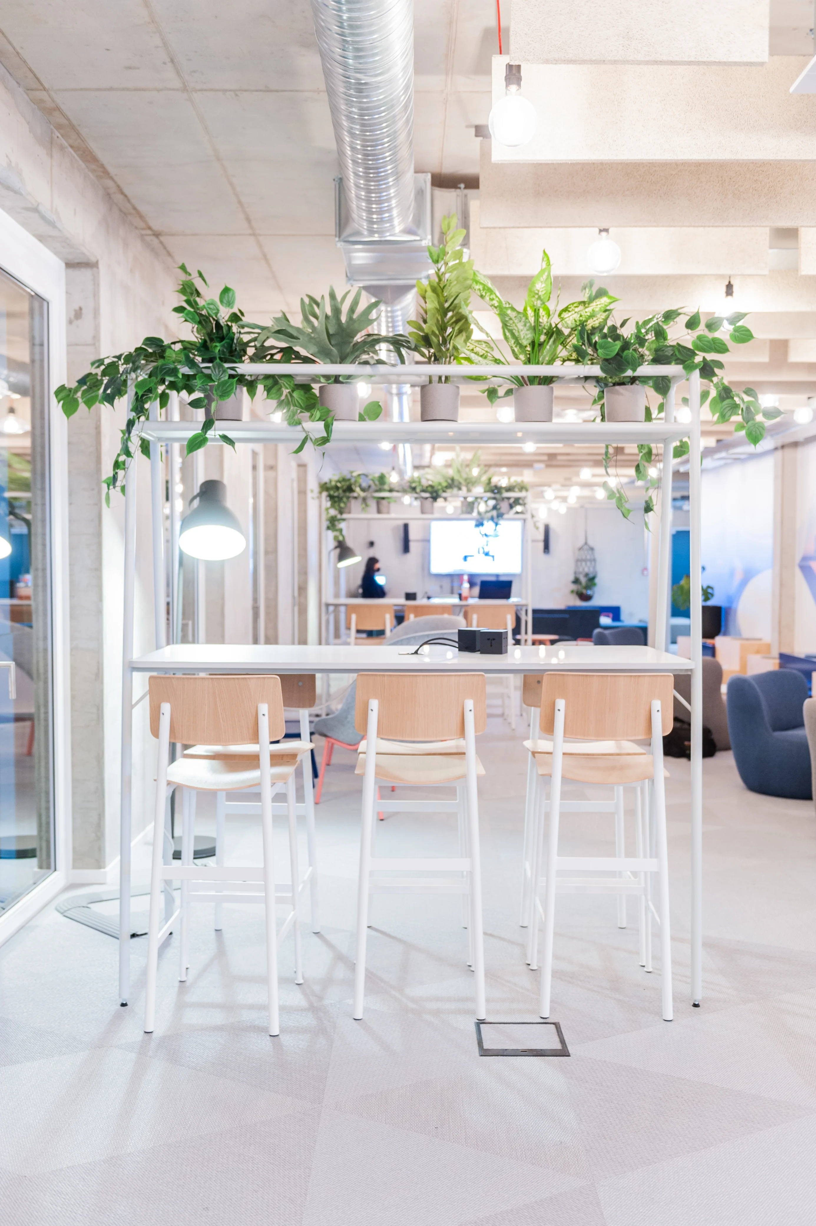 White standing table at OMIO with an overhead steel rack holding potted ferns and palms, wooden bar stools, a hanging black lamp and a TV area with blue sofas in the background.