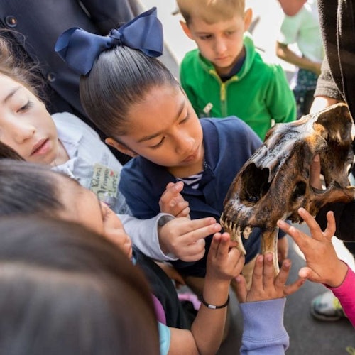 Children learning about mammoths in LA