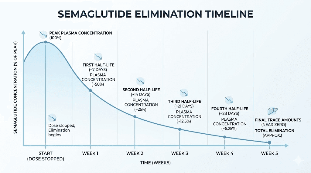 Semaglutide elimination timeline showing how long the medication stays in your system after stopping