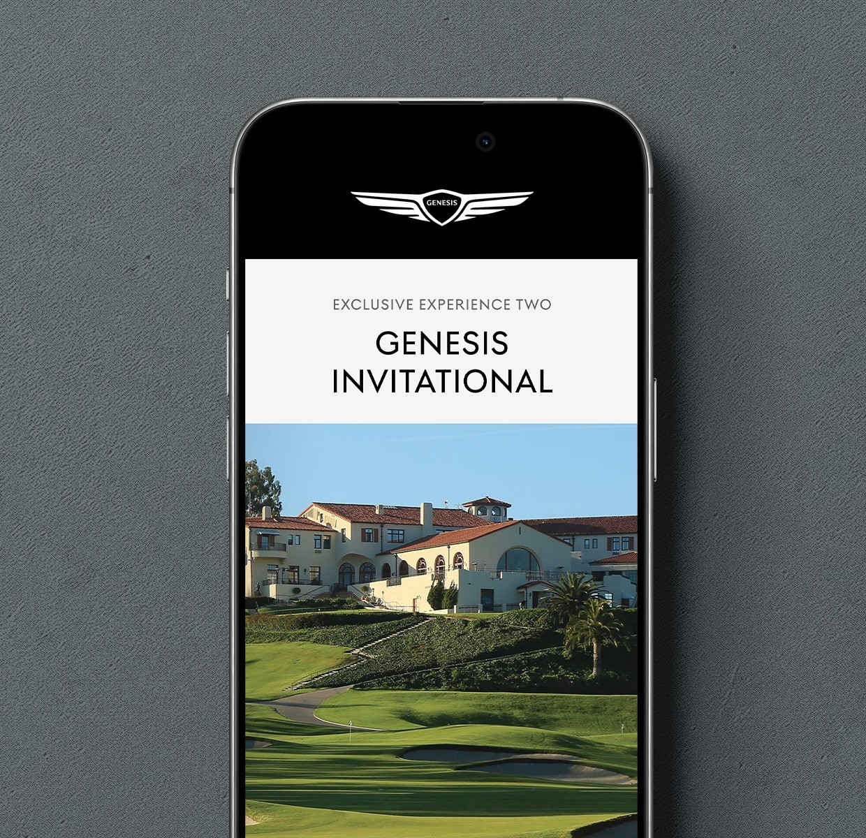 Project Gallery Image for 50% width of the screen #2