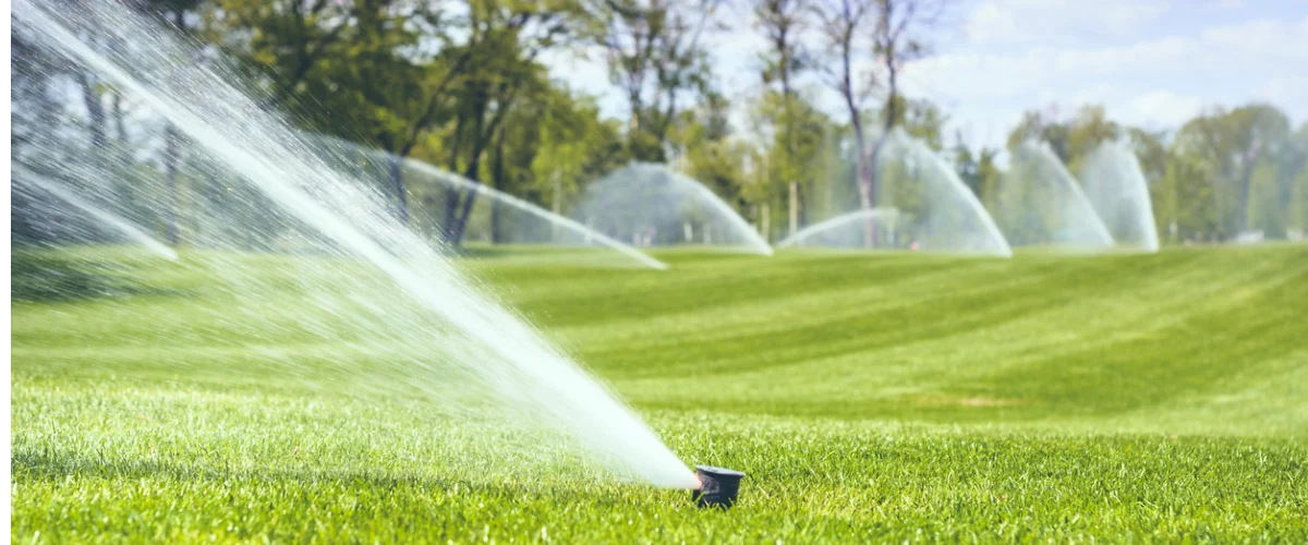 Modern landscaped garden showcasing professional outdoor design.