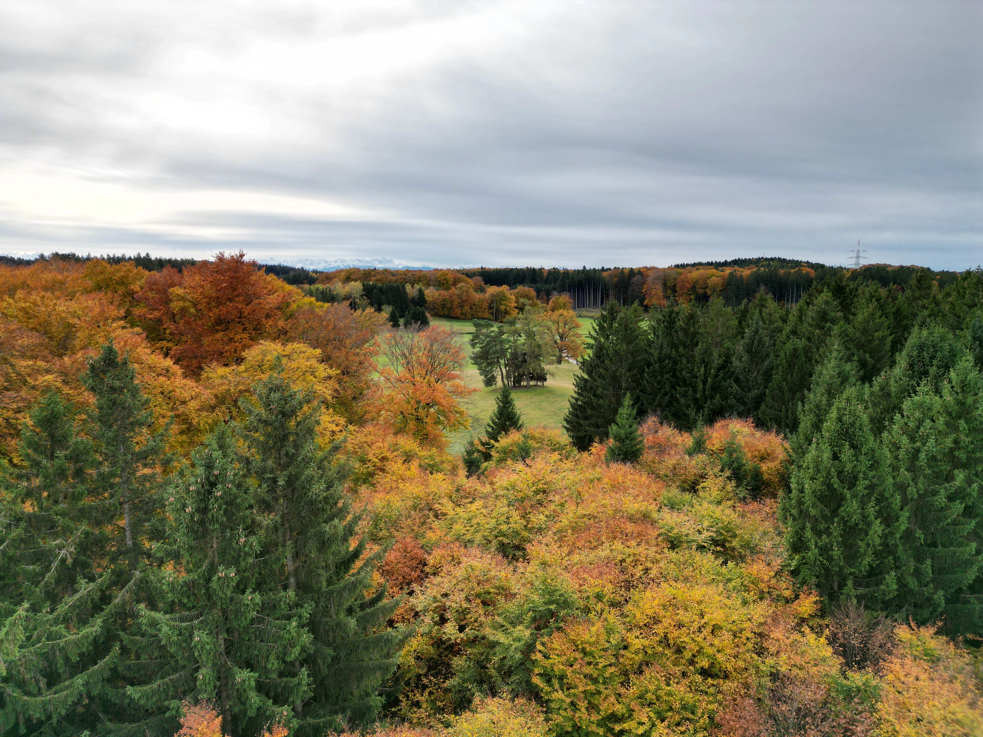 Ein Panoramablick auf einen Wald mit leuchtendem Herbstlaub unter einem bewölkten Himmel.