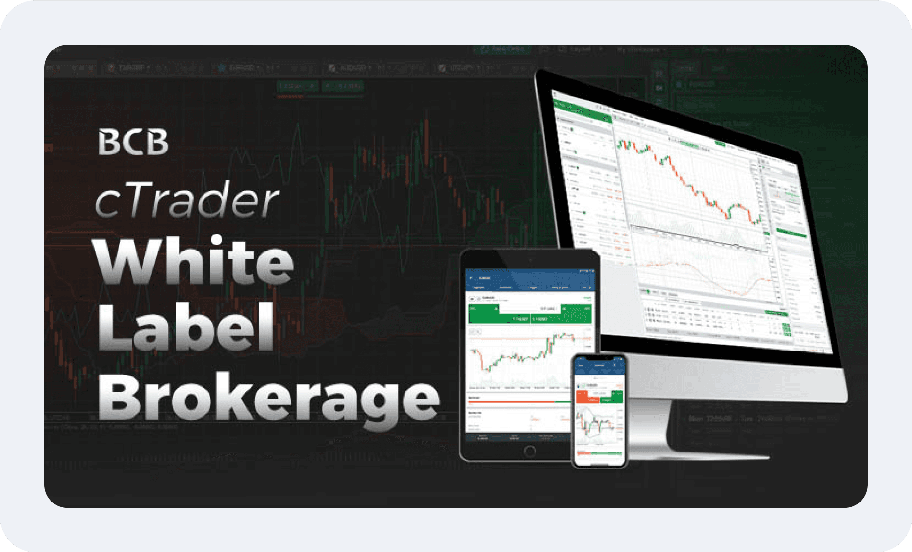 cTrader white label