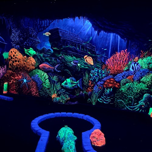 Gestrand op een rif!