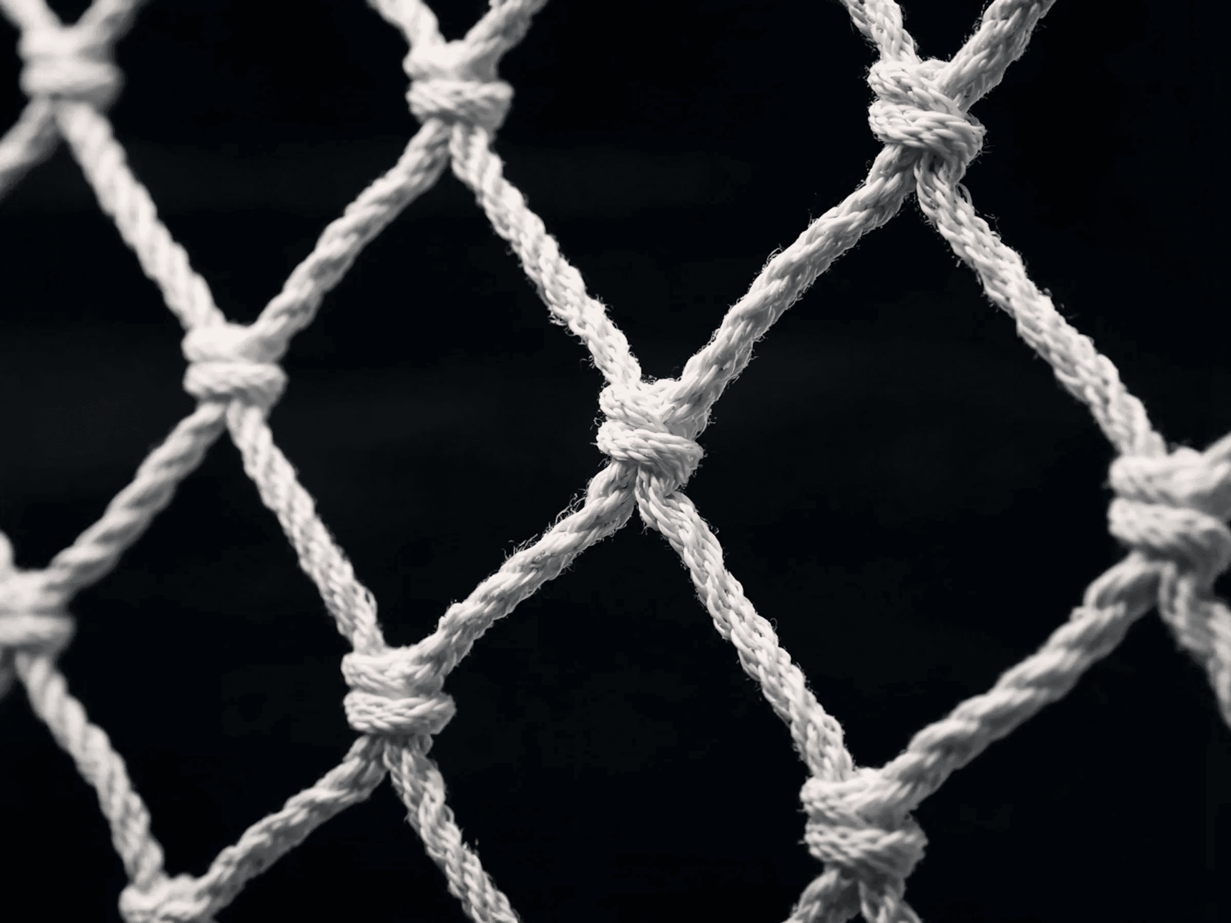 Preview 3 of Nero Vision