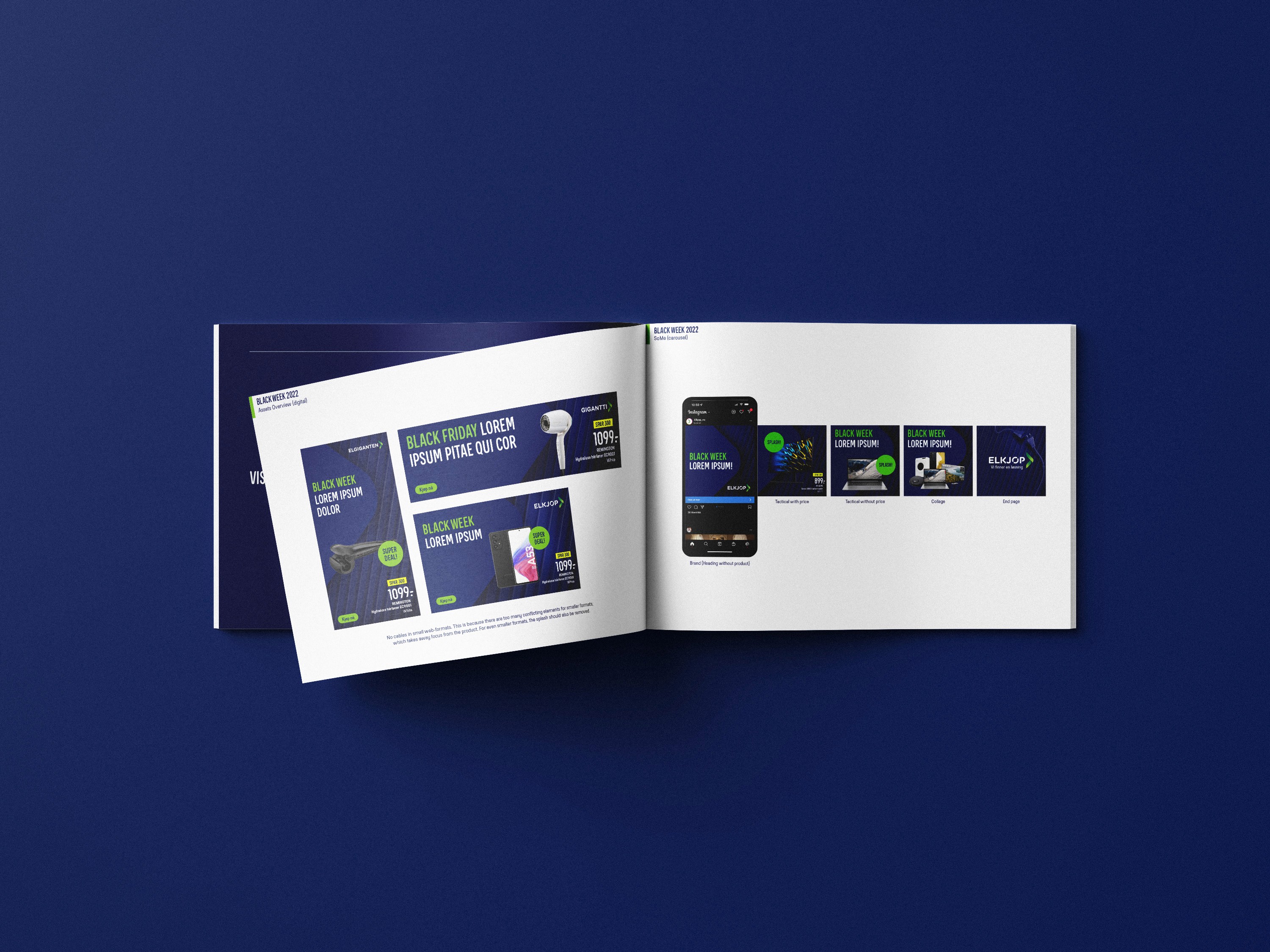 Large Project Gallery Image #1