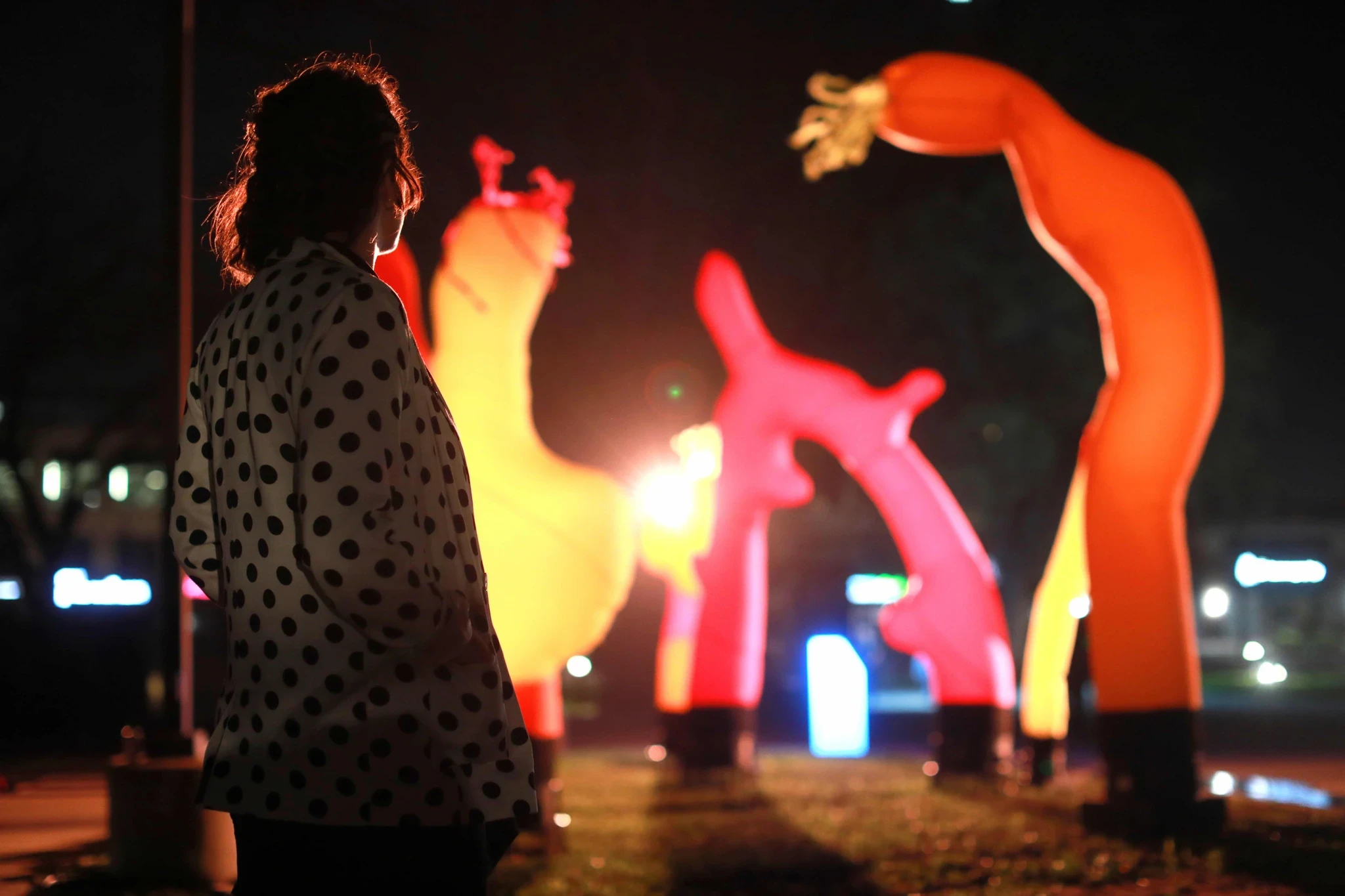 A person sits in front of vibrant, illuminated sculptures at night, showcasing colorful, abstract forms.