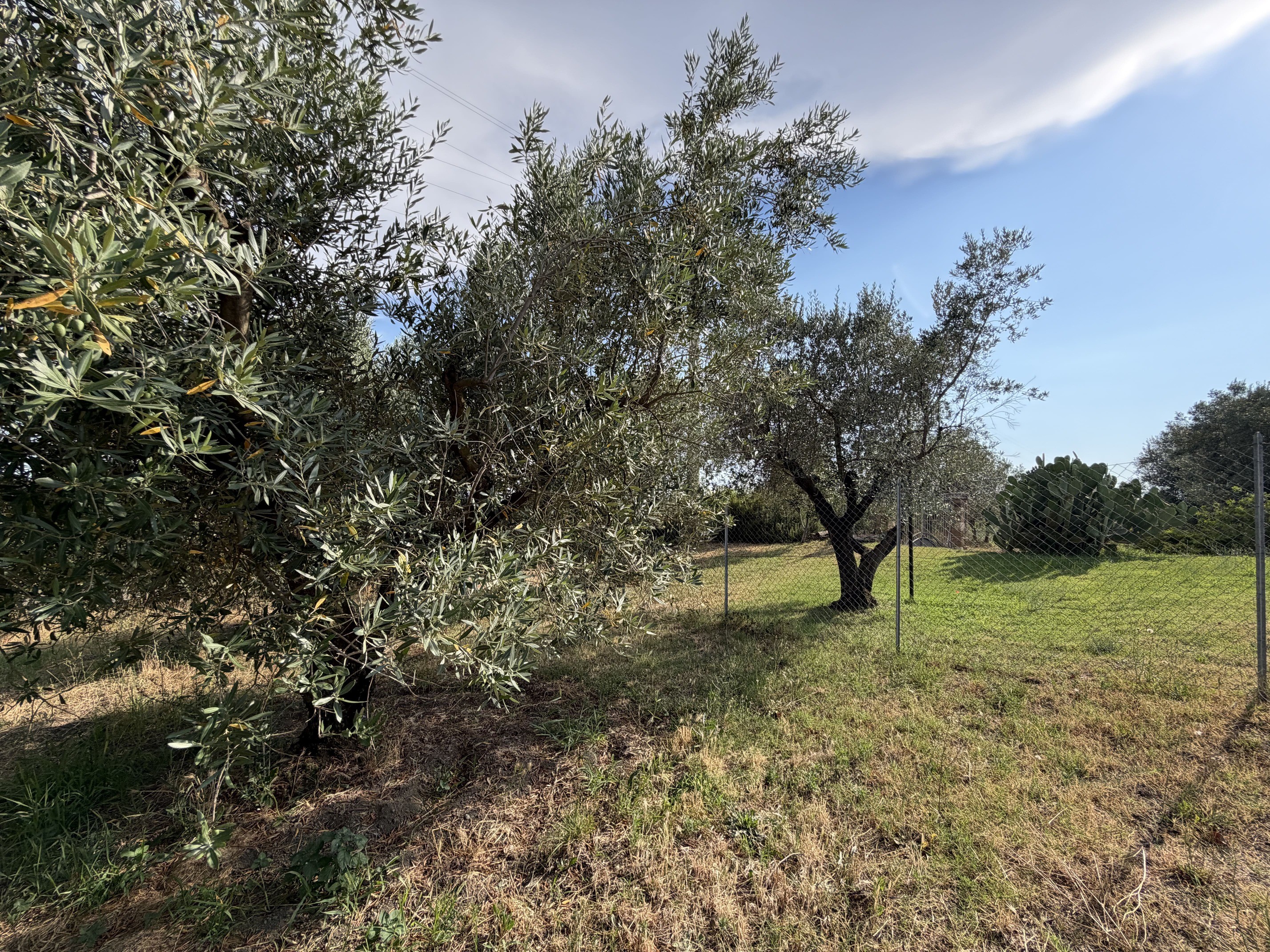 Casale Vista Provenza, Roccatederighi, Maremma Toscana