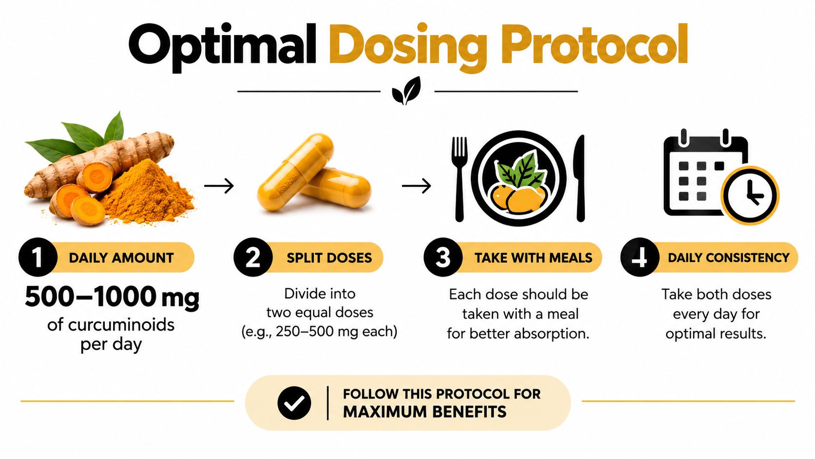 An infographic detailing the optimal daily dosing protocol for turmeric and curcuminoids supplements for better absorption.