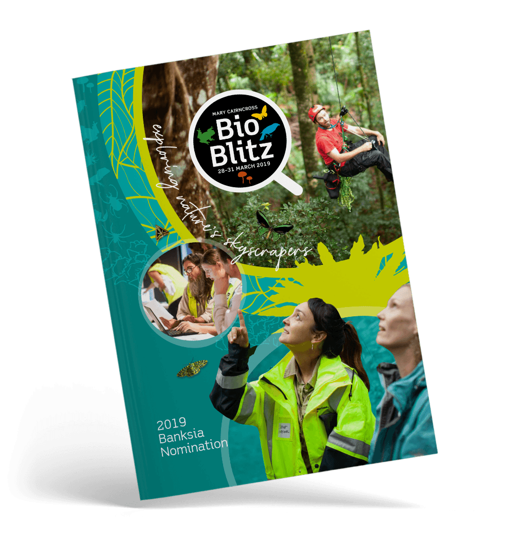 This nomination document for the Banksia Foundation awards, titled "exploring nature's skyscrapers," details the 2019 Mary Cairncross Scenic Reserve BioBlitz, an interdisciplinary project by the Sunshine Coast Council that combined scientific research, traditional indigenous knowledge, and community art to document biodiversity within the forest canopy.