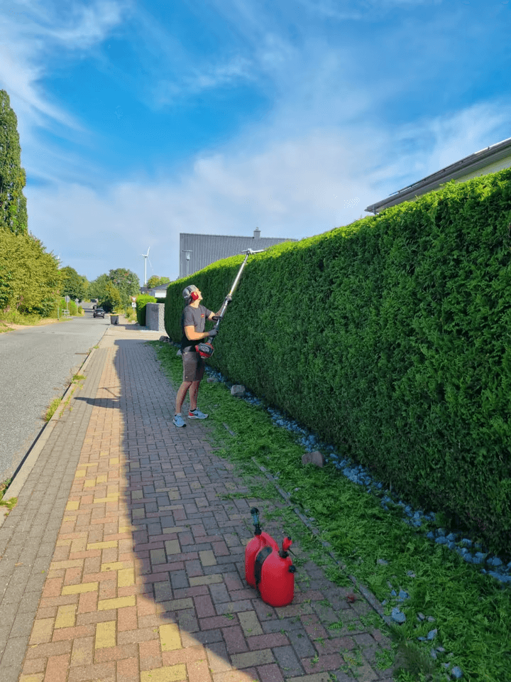 Fachgerechter Rückschnitt einer Sichtschutzhecke mit motorisierter Gartentechnik
