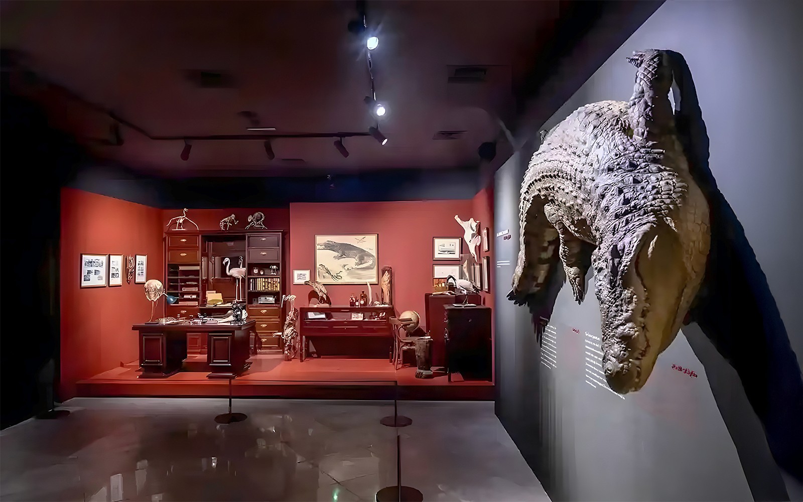 自然历史博物馆展览，包括鳄鱼展示和复古研究布置。