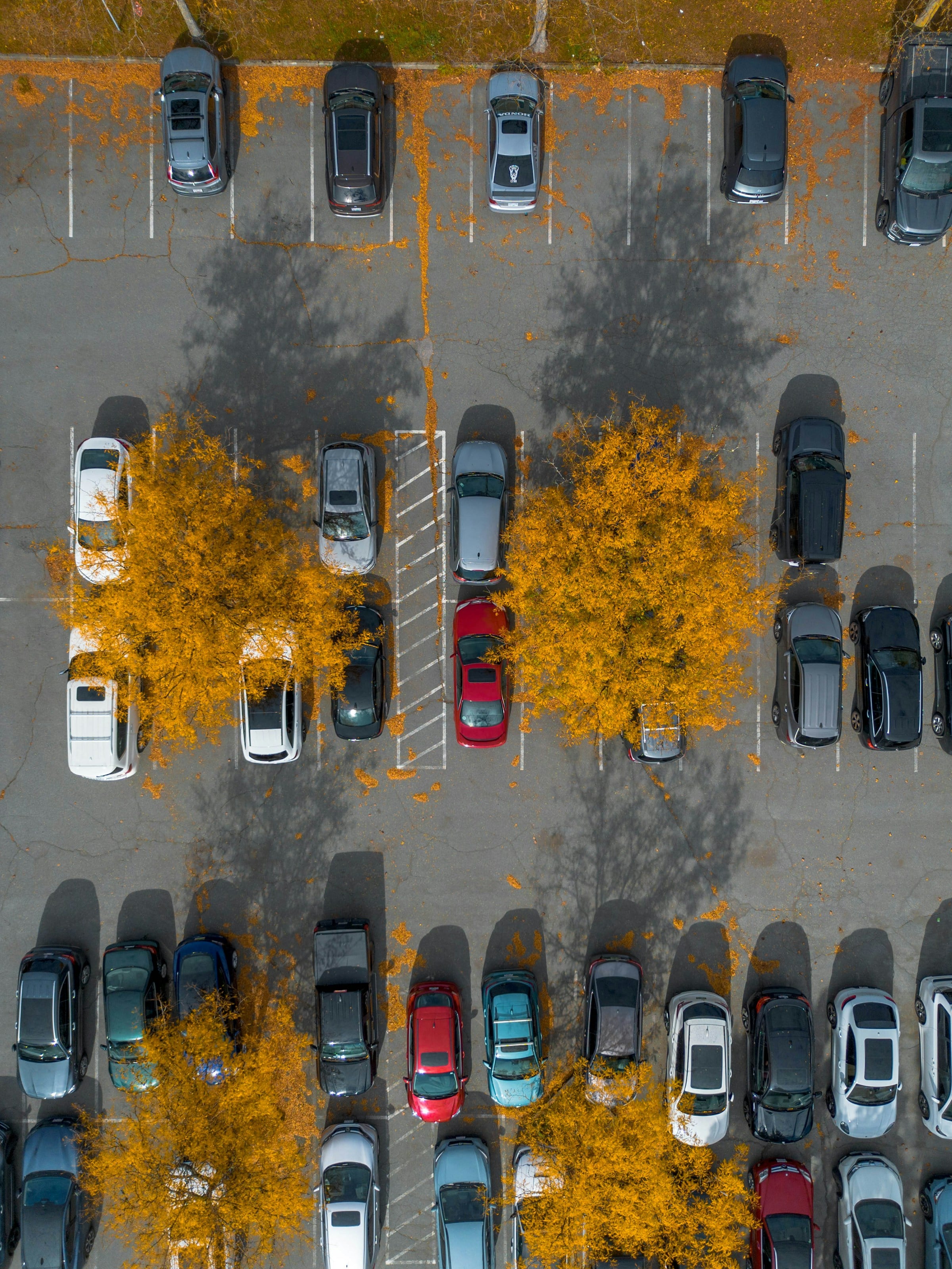Off-Street Parking vs On-Street Parking Systems