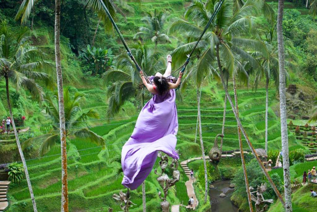 Swing over the rice fields at Alas Harum, Ubud