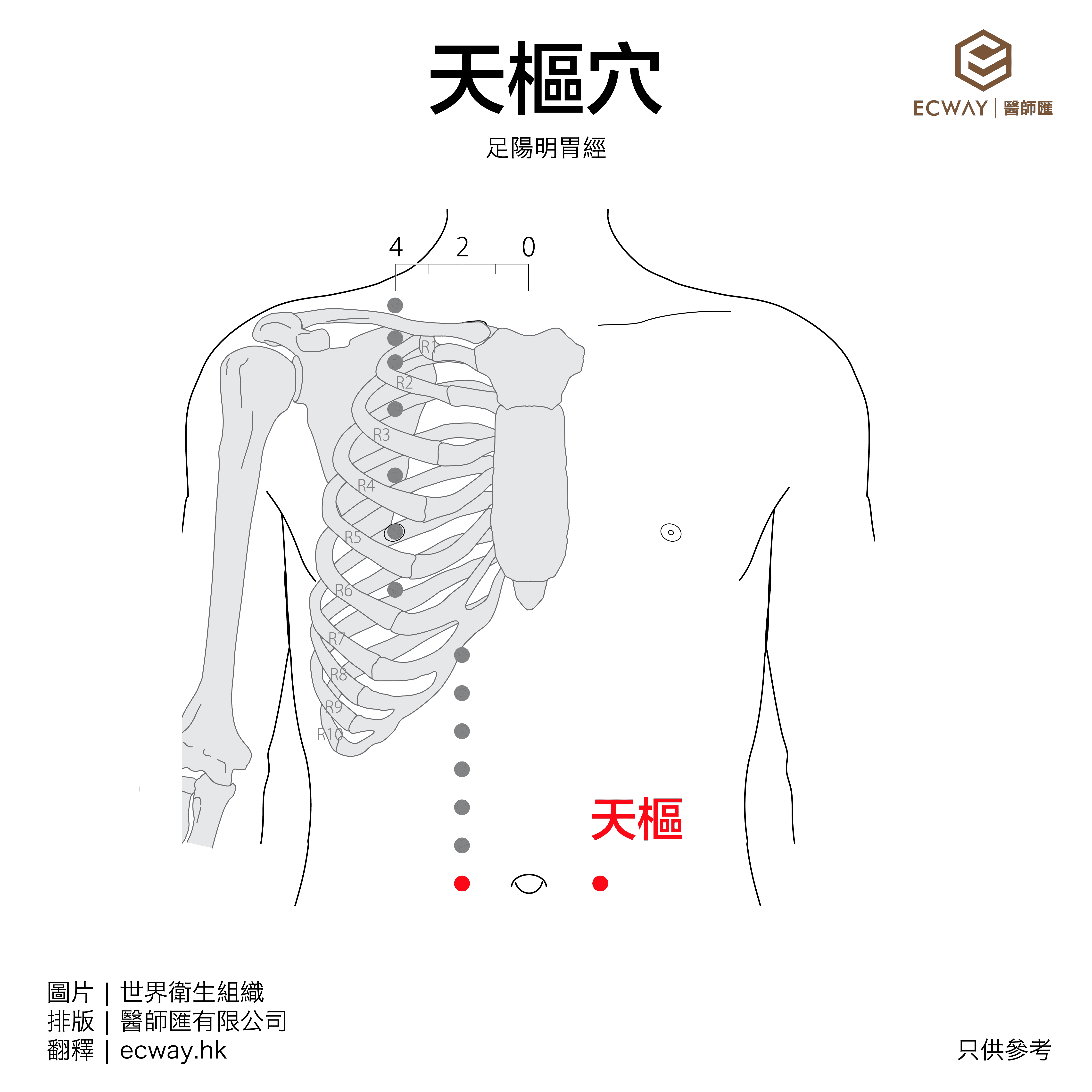 天樞穴