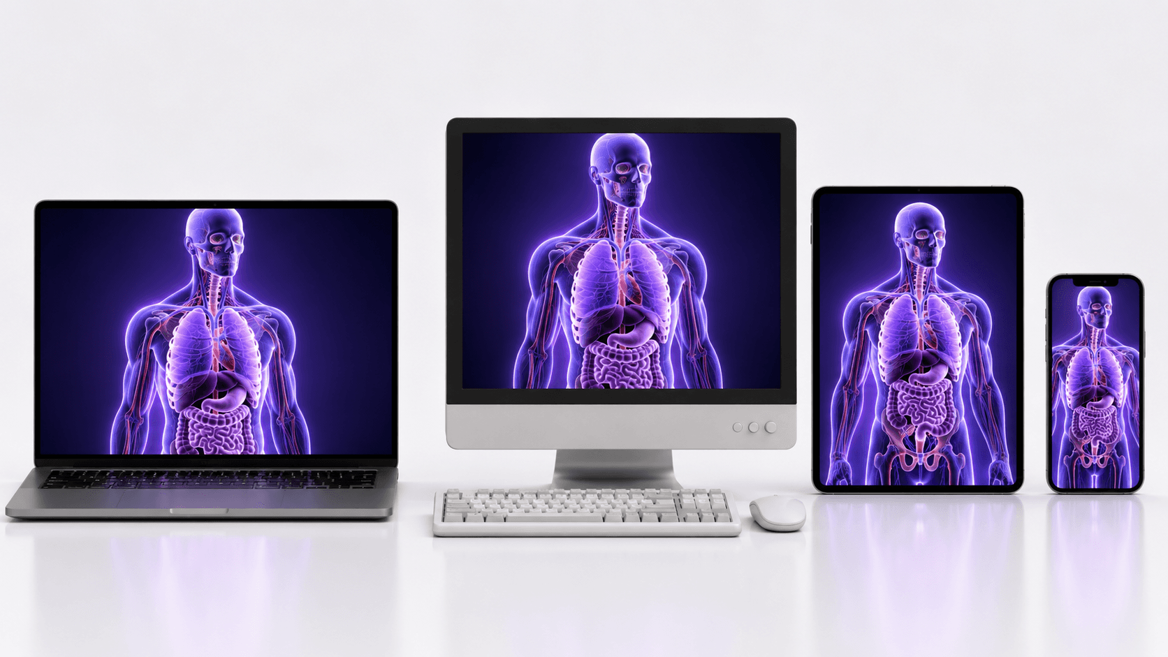 Laptop, desktop, tablet, and phone all displaying the same 3D anatomy model, showing medical simulation streamed to any device