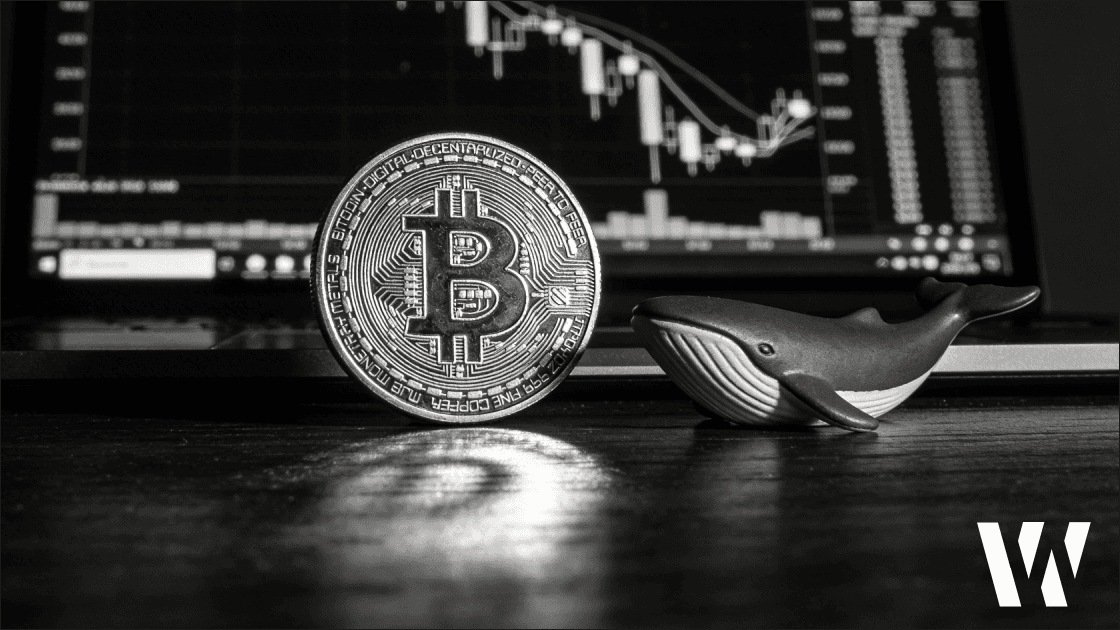 Black and white photo of a trading desk showing a physical Bitcoin and a whale sculpture, symbolizing Bitcoin whale accumulation during the February 2026 market dip to $60,000, with a chart monitor in the background.