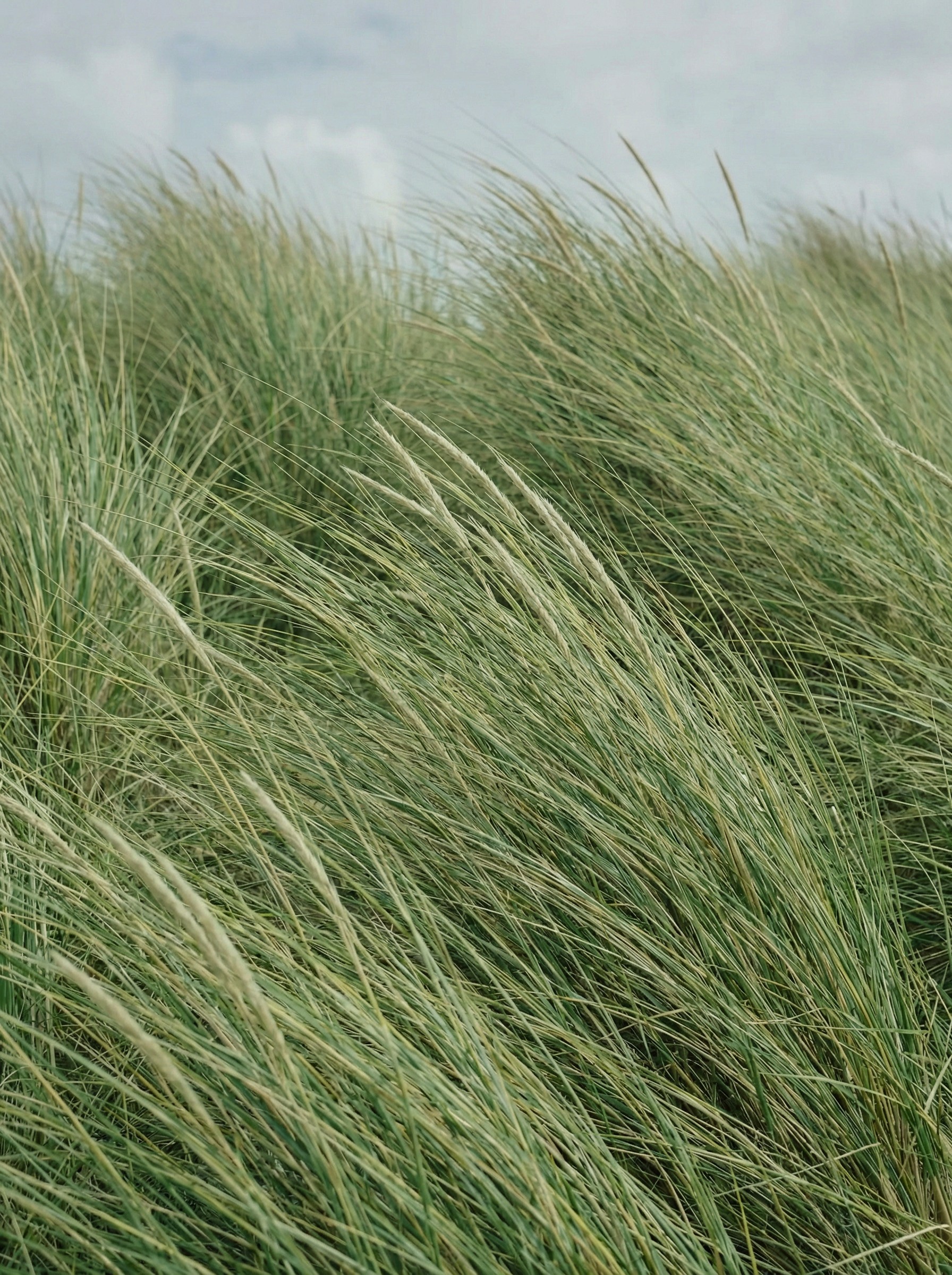 Ambiance apaisante d’un massage bien-être à Avignon, Vaucluse