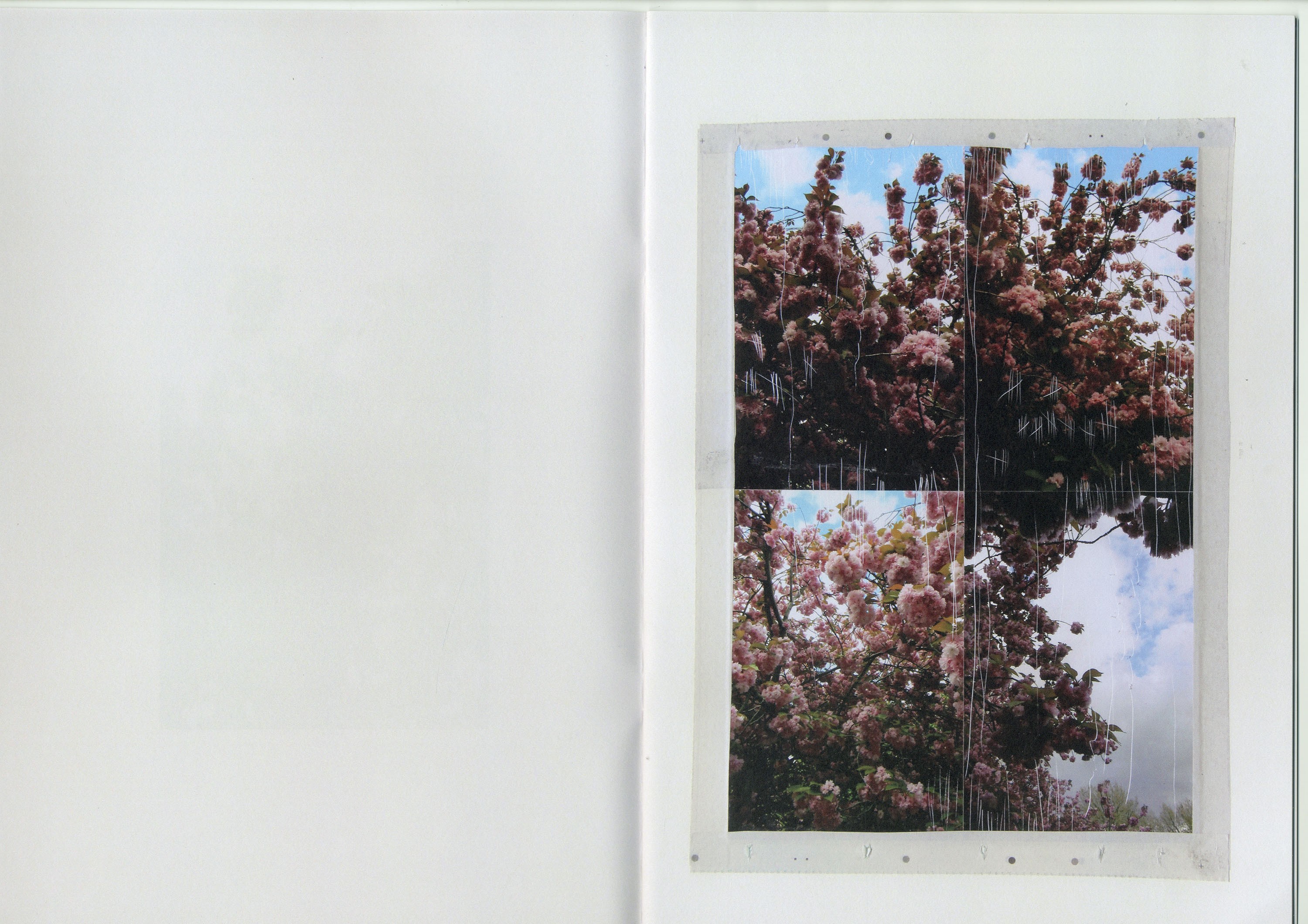 Nicholas Cheveldave publication Some Kind Of Life 3