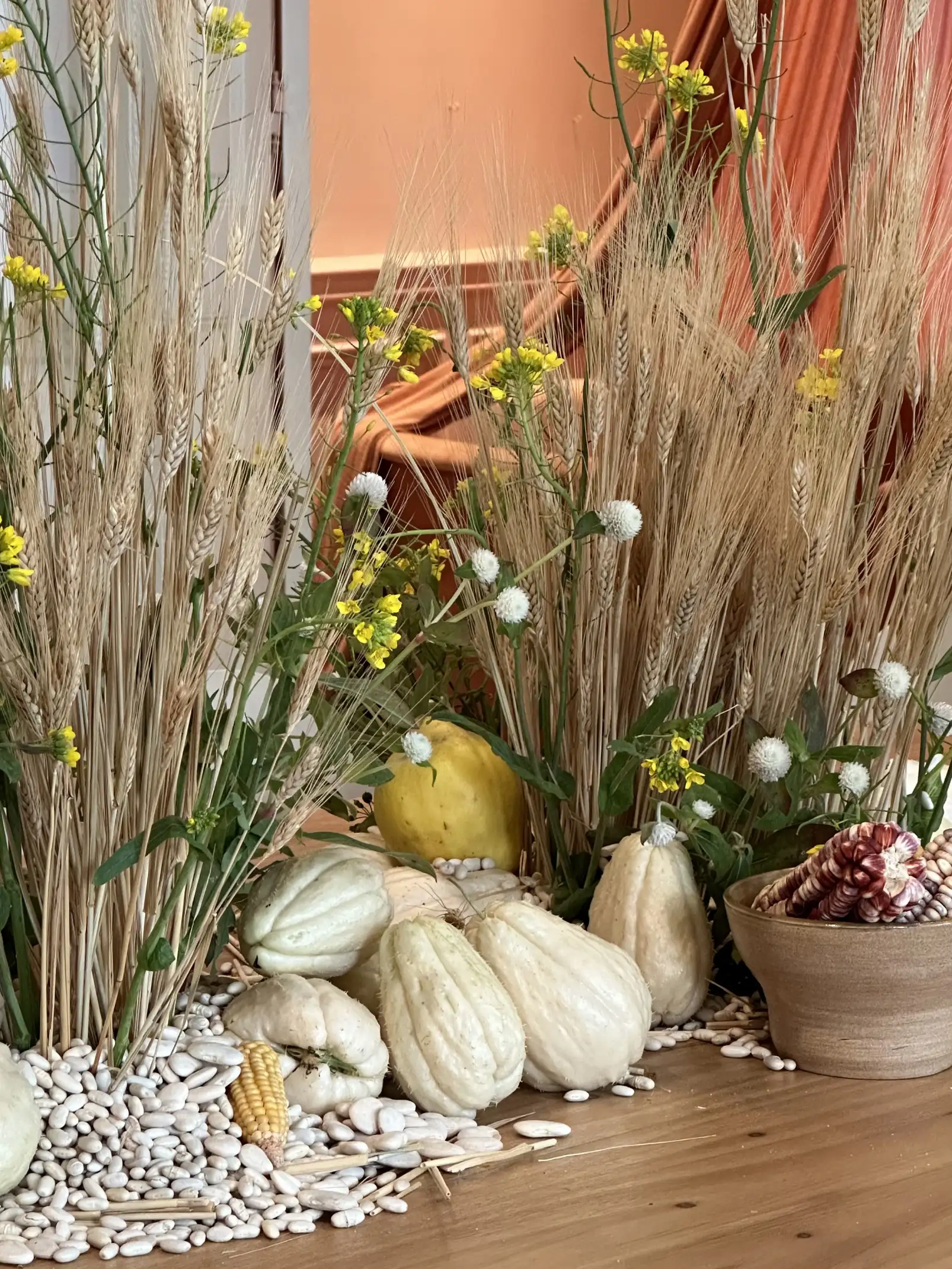 Composición otoñal con espigas, flores amarillas, calabazas y maíz seco para ambientación rústica y natural.