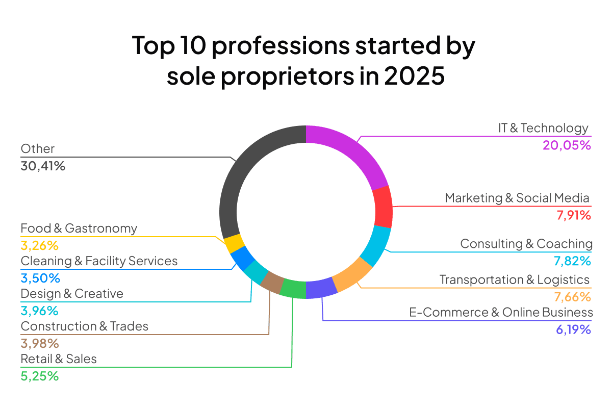 Top 10 sole-proprietor activities in 2025