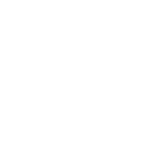 a white lightning bolt logo for Nextus Digital Solutions