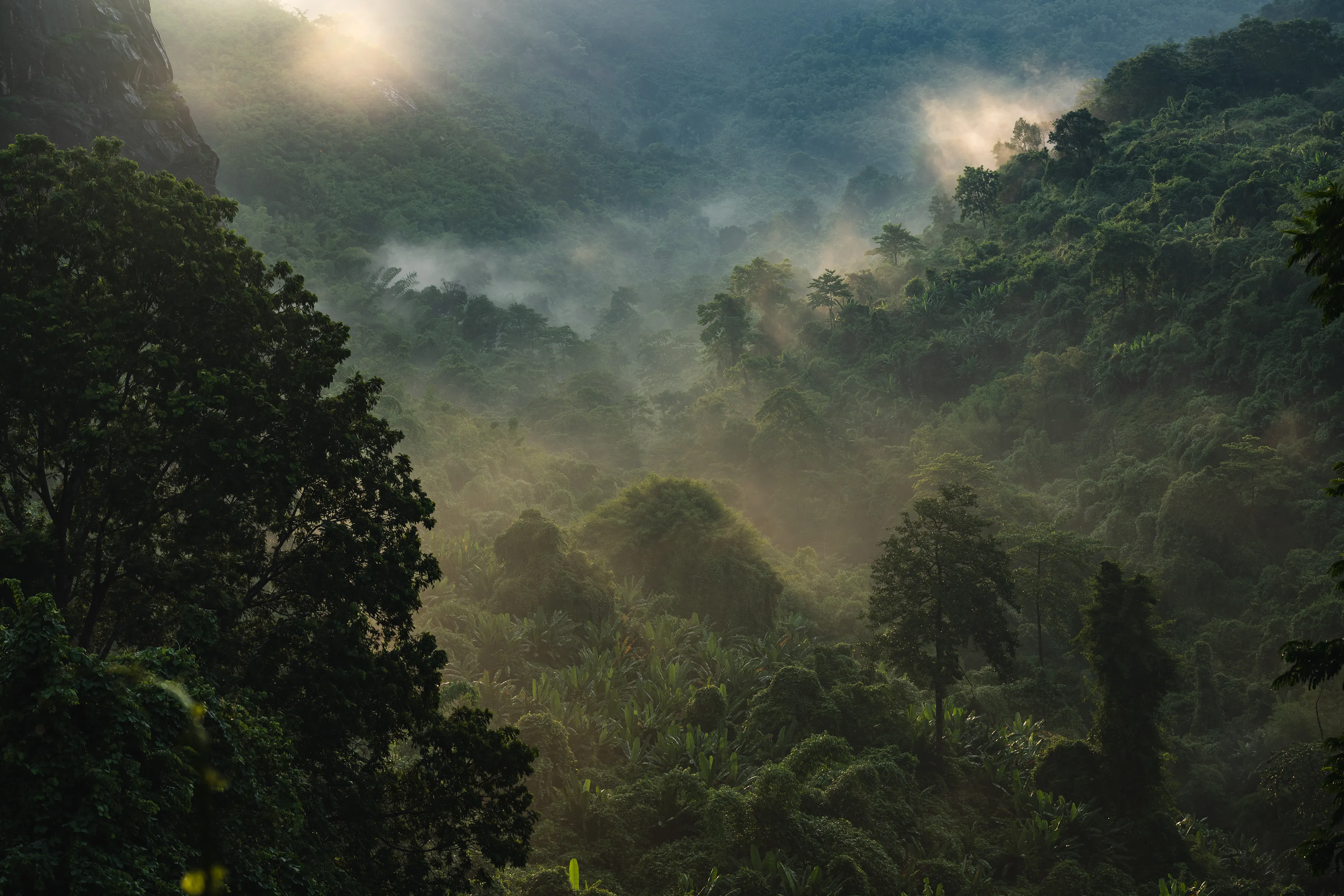 Tropical Costa Rica landscape surrounding the Soul Journey retreat