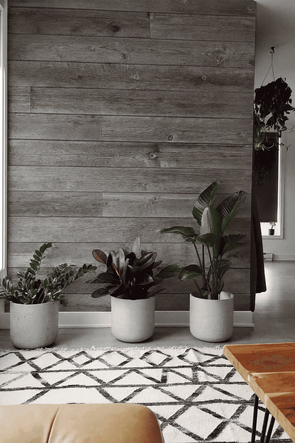 Modern kitchen project in NYC iwth dark cabinets