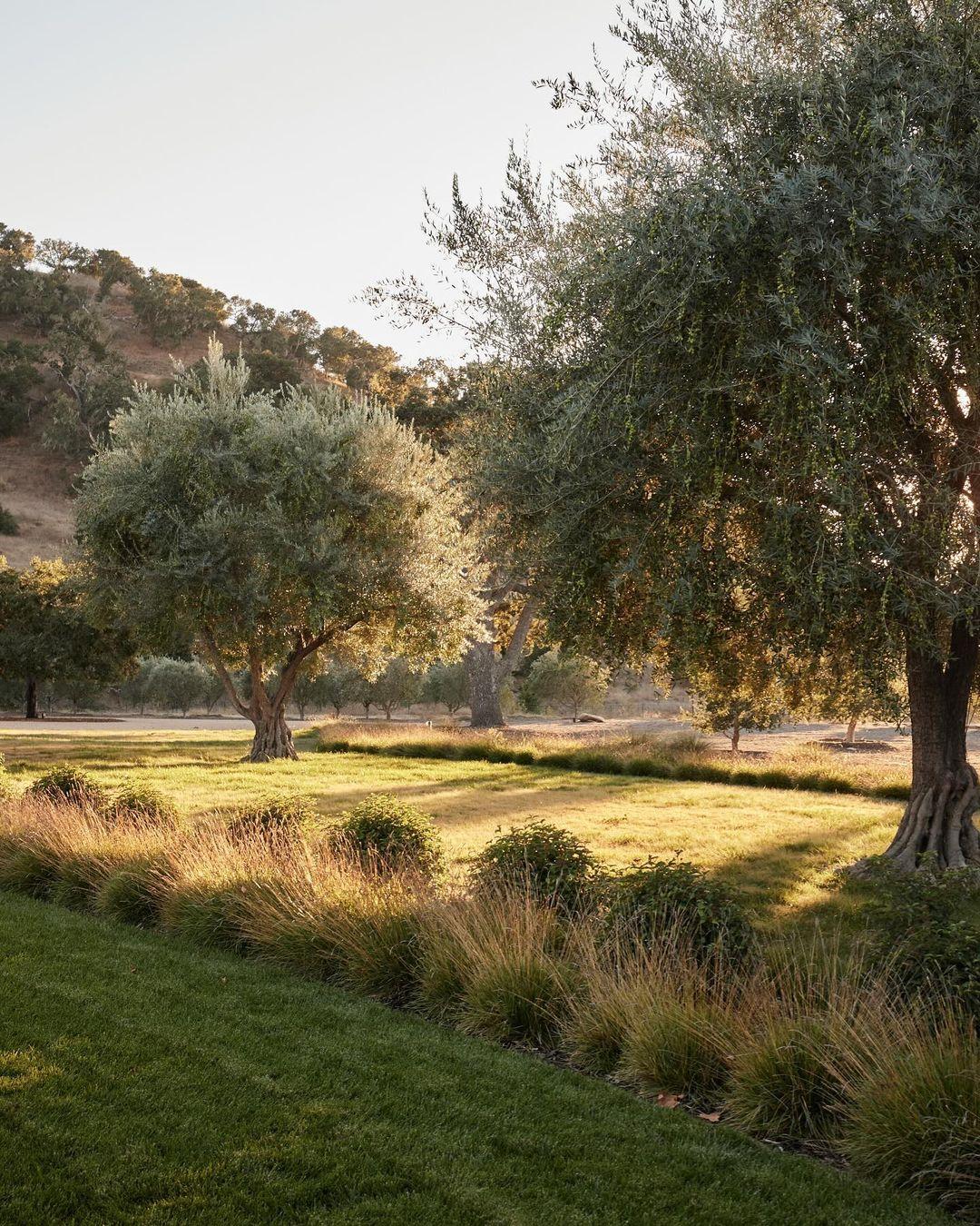 Ranch in the Malibu Hills